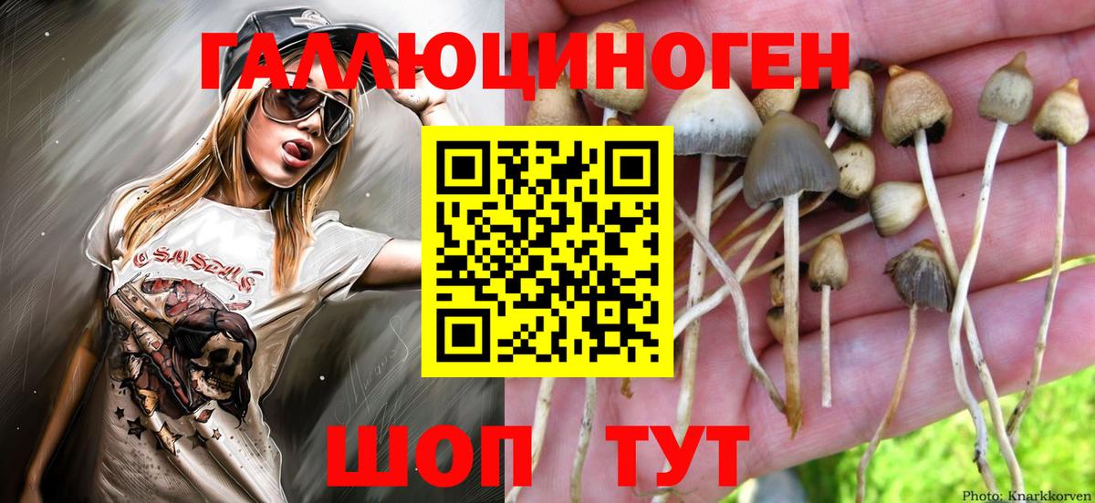 Галлюциногенные грибы GOLDEN TEACHER  Вход с VPN  Мирный 